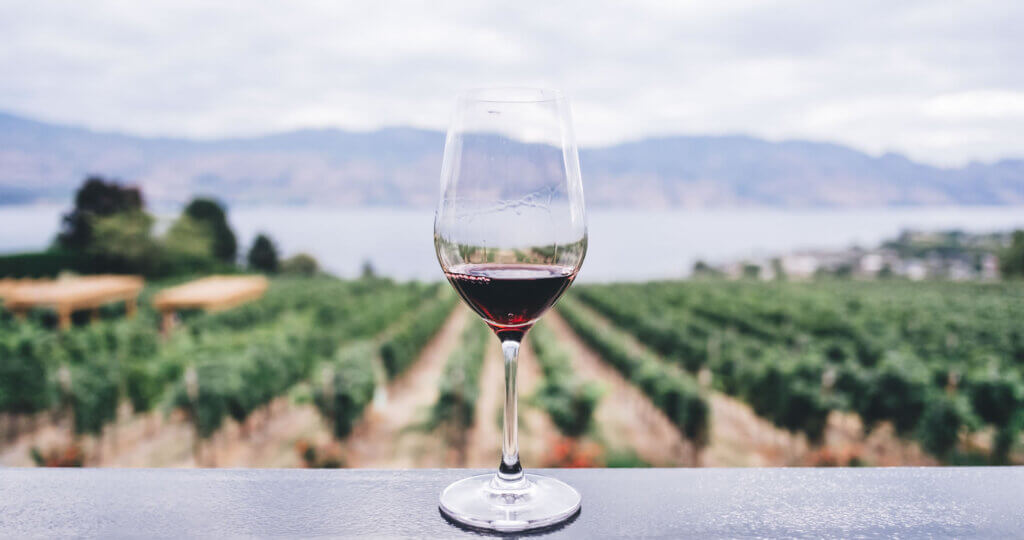 Image of a class of wine at a winery